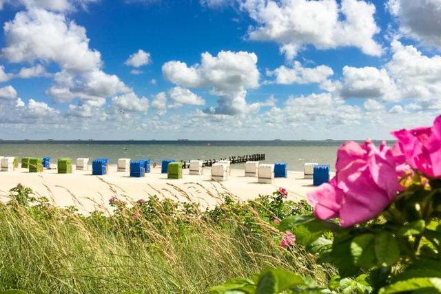 Apartamento Haus Uthlande Uthlande Whg 4 Wyk auf Föhr Exterior foto